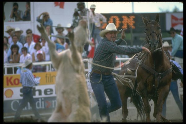 331021 Calf Roping A4 Photo Print