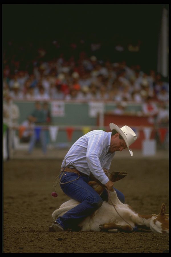 331023 Calf Roping A4 Photo Print