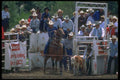 331024 Calf Roping A4 Photo Print
