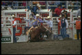 331027 Saddle Motion Picture A4 Photo Print