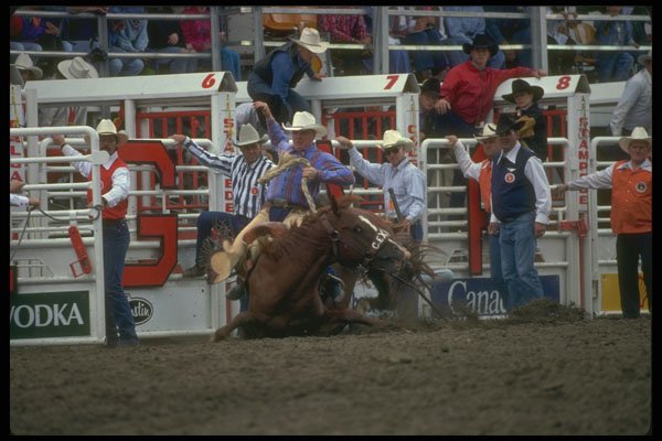 331027 Saddle Motion Picture A4 Photo Print