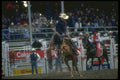 331028 Cowboy Christmas A4 Photo Print