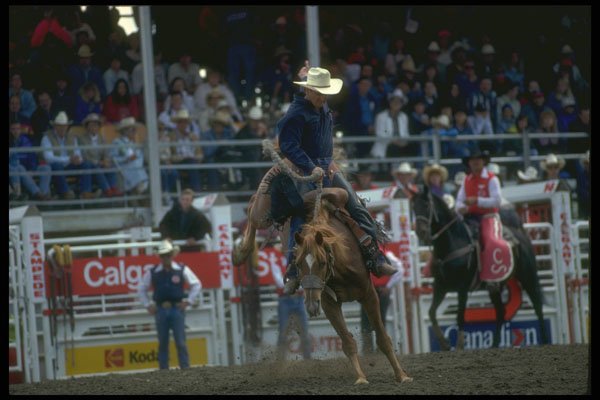 331028 Cowboy Christmas A4 Photo Print