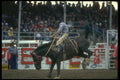 331029 Lonesome Me A4 Photo Print