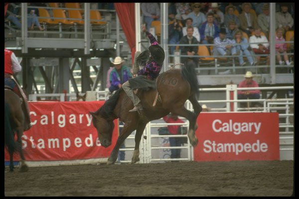 331034 Bareback A4 Photo Print