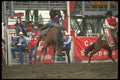 331035 Bareback A4 Photo Print