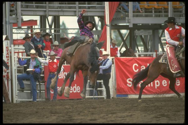 331035 Bareback A4 Photo Print