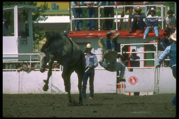 331036 Bareback A4 Photo Print