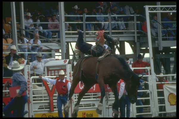 331038 Bareback A4 Photo Print