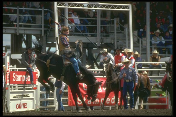 331039 Novice Bareback A4 Photo Print