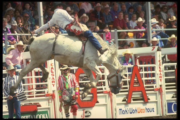 331040 Novice Bareback A4 Photo Print