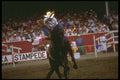 331041 Bareback A4 Photo Print
