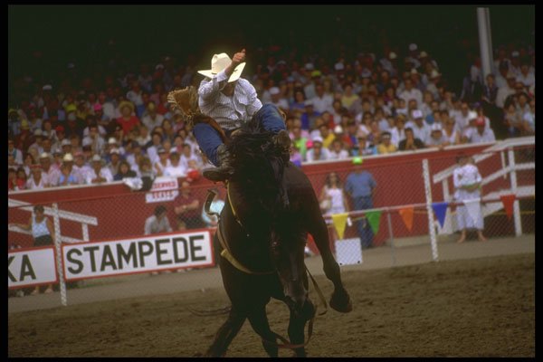 331041 Bareback A4 Photo Print