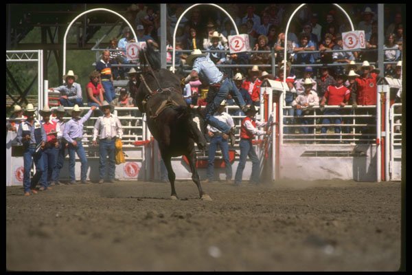 331042 Bareback A4 Photo Print