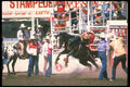 331043 Bareback A4 Photo Print