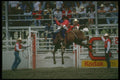 331044 Bareback A4 Photo Print