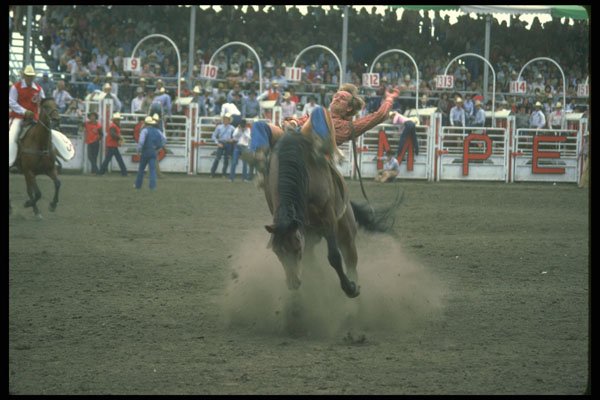 331045 Bareback A4 Photo Print