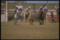 331046 Team Roping A4 Photo Print