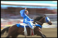 331048 Trick Riding A4 Photo Print