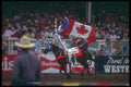 331049 Trick Riding A4 Photo Print
