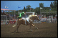 331050 Trick Riding A4 Photo Print