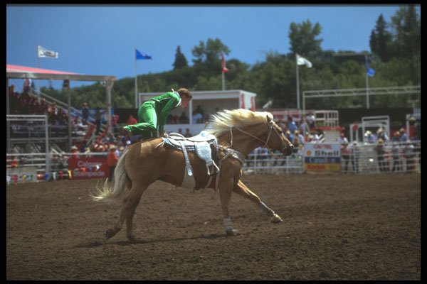 331050 Trick Riding A4 Photo Print