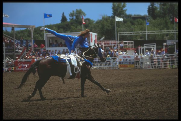 331051 Trick Riding A4 Photo Print