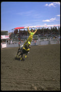 331053 Trick Riding A4 Photo Print