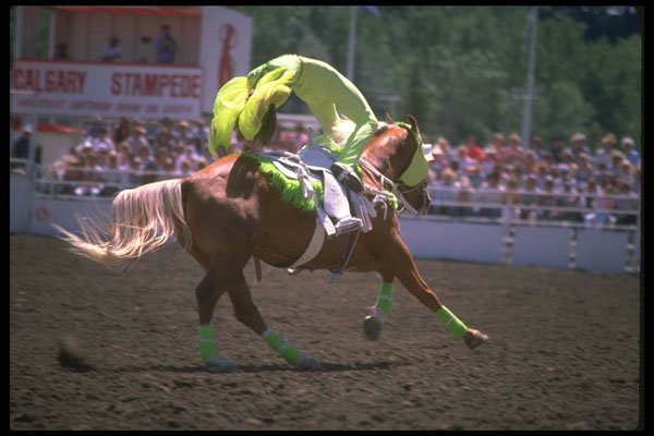 331054 Trick Riding A4 Photo Print