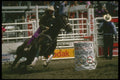 331058 Ladies Barrel Racing A4 Photo Print