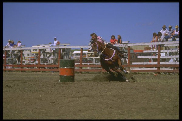 331059 Ladies Barrel Racing A4 Photo Print