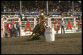 331060 Ladies Barrel Racing A4 Photo Print