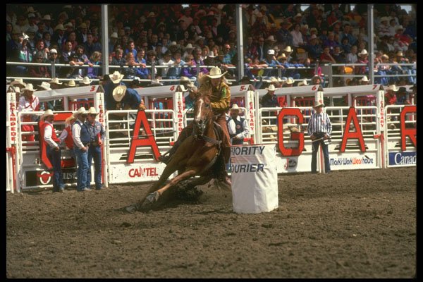 331060 Ladies Barrel Racing A4 Photo Print