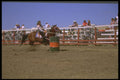 331062 Ladies Barrel Racing A4 Photo Print