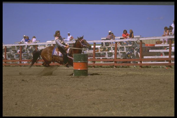 331062 Ladies Barrel Racing A4 Photo Print