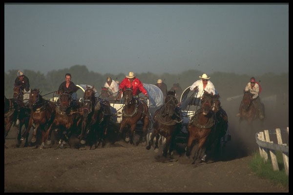 331063 Chuckwagons A4 Photo Print