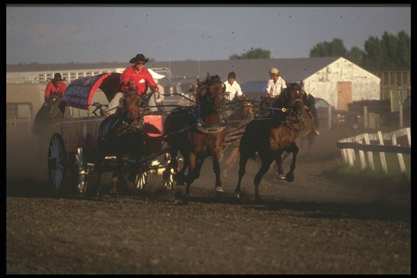 331065 Chuckwagons A4 Photo Print
