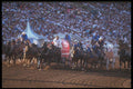 331066 Chuckwagons A4 Photo Print