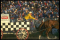 331067 Chuckwagons A4 Photo Print