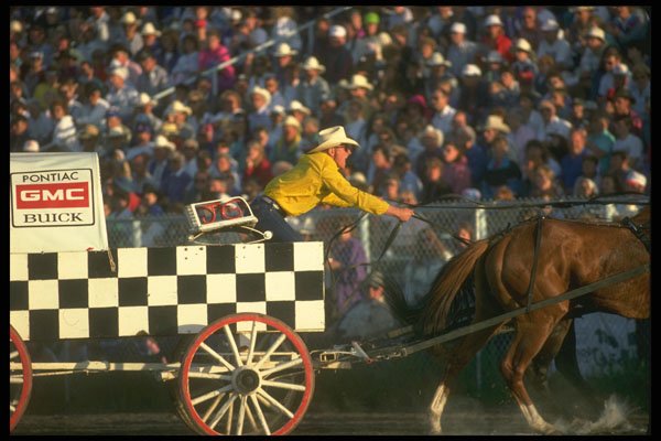 331067 Chuckwagons A4 Photo Print