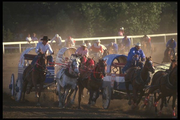 331068 Chuckwagons A4 Photo Print