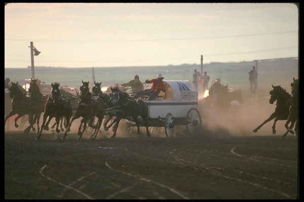 331070 Chuckwagons A4 Photo Print
