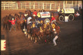 331071 Chuckwagons A4 Photo Print