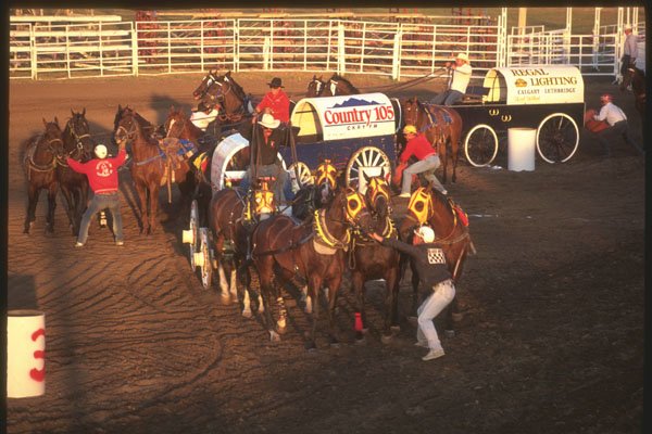 331071 Chuckwagons A4 Photo Print