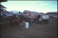 331072 Chuckwagons A4 Photo Print