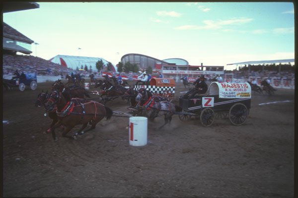 331072 Chuckwagons A4 Photo Print