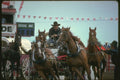 331073 Chuckwagons A4 Photo Print
