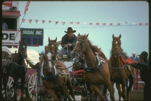331073 Chuckwagons A4 Photo Print
