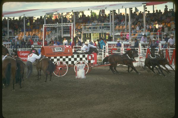 331074 Chuckwagons A4 Photo Print