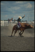 331075 Bull Riding A4 Photo Print